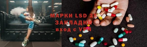 твердый Заводоуковск