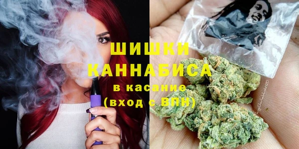 твердый Заводоуковск