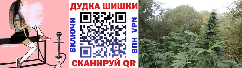 закладки  Симферополь  Марихуана VHQ 